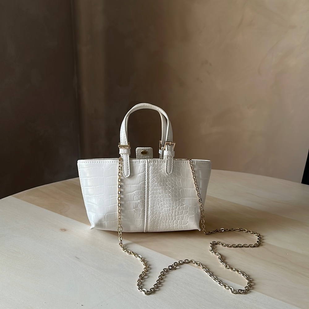 Zara bag